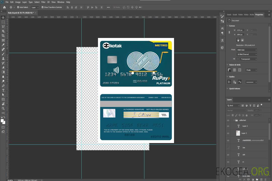 Inde Kotak Bank Metro Cash & Carry RuPay carte de platine template